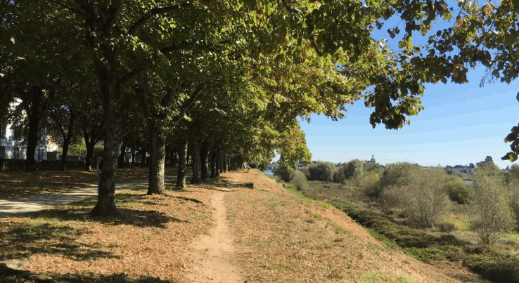 Bords de Loire Quartier du Foix | Blois